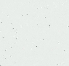 Линолеум Forbo Sphera Energetic 50200 snow фото 1 | FLOORDEALER